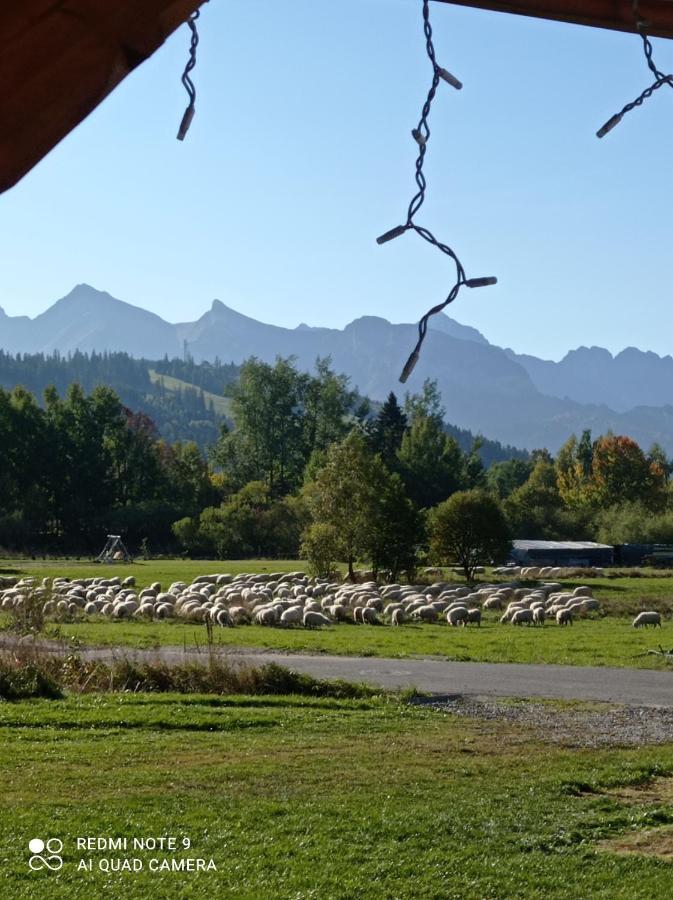 Domki ,,Goramiba" Jurgów Exterior foto