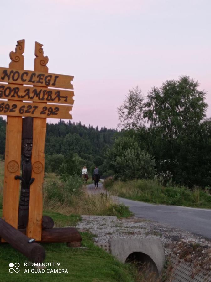 Domki ,,Goramiba" Jurgów Exterior foto